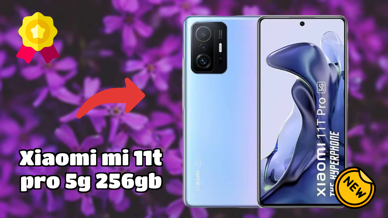 Xiaomi Mi 11T Pro 5G 256GB Camera Review: 108 MP + 8 MP + 5 MP Rear Camera Photo Test